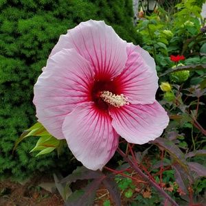 Meet your Posher, Deborah